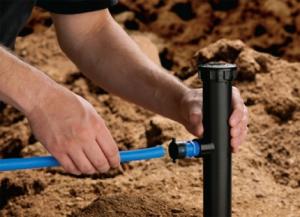 a Sunrise irrigation repair tech installs a new sprinkler head